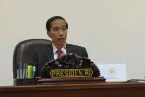 jokowi presiden reklamasi